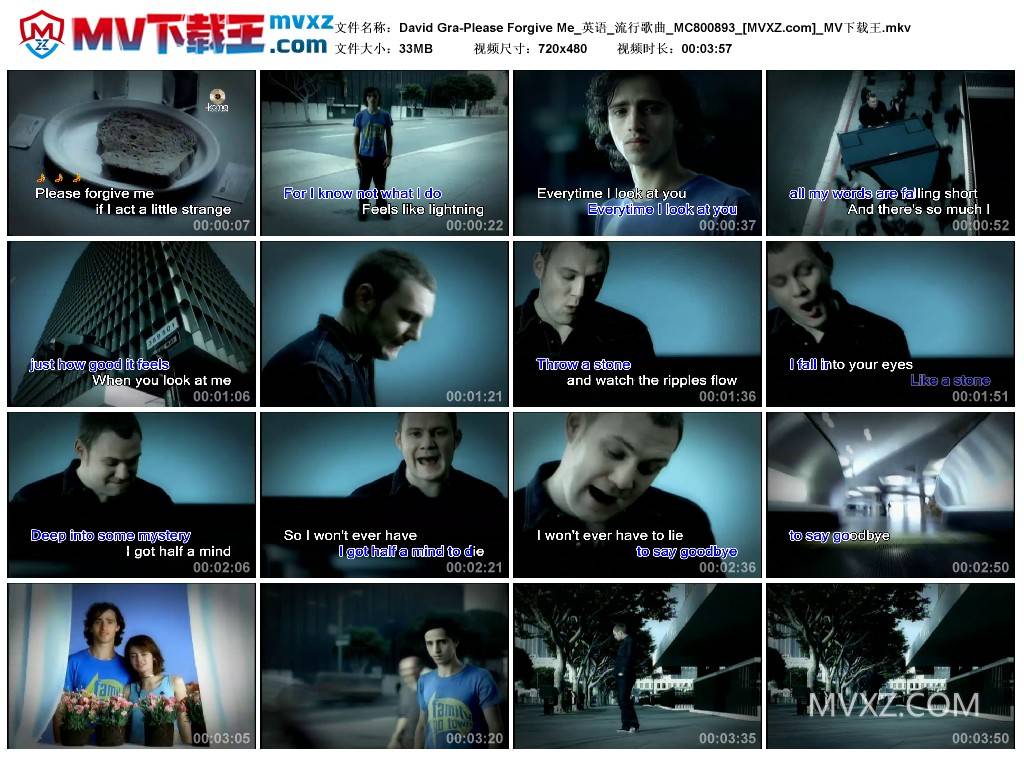 David Gra-Please Forgive Me_英语_流行歌曲_MC800893